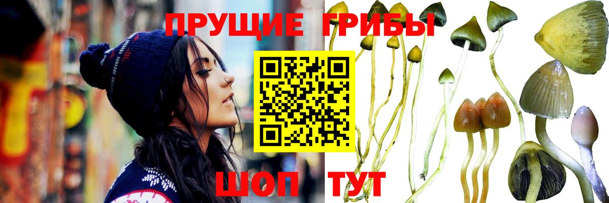 Cocaine  ЭКСТАЗИ  Меф МЯУ МЯУ кристаллы  Егорьевск  Каннабис  Вход с VPN  Метамфетамин 