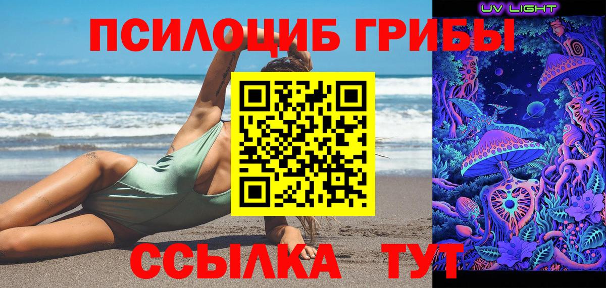 Галлюциногенные грибы Psilocybine cubensis  наркота  Егорьевск  Вход с VPN 