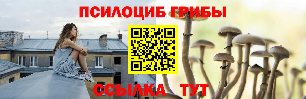 Псилоцибиновые грибы прущие грибы Егорьевск